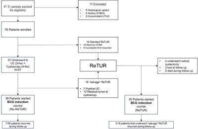 Could We Safely Avoid a Second Resection in Selected Patients With T1 Non-Muscle-Invasive Bladder Cancer? Preliminary Results of Cost-Effectiveness Study From HUmanitas New Indications for ReTUR (HuNIRe) Multicenter Prospective Trial